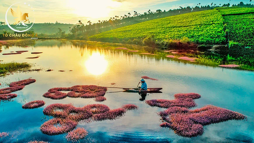 Hồ tảo hồng