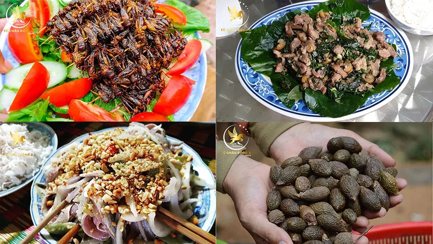 Top món ăn ngon Đồng Nai vô cùng nổi tiếng