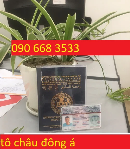 Địa chỉ đổi bằng lái quốc tế IAA ở Hồ Chí Minh uy tín, nhanh chóng