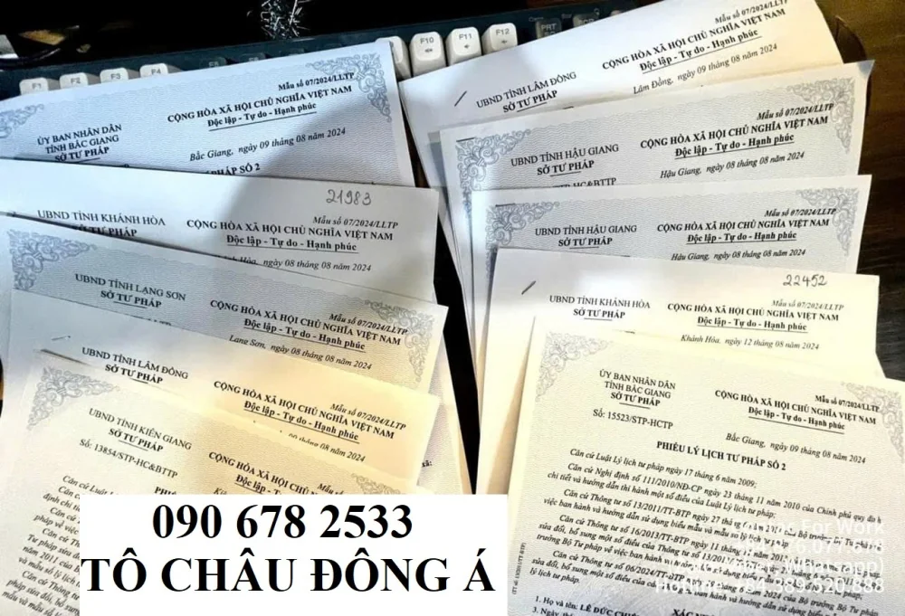 dich-vu-lam-ly-lich-tu-phap-online-o-da-nang