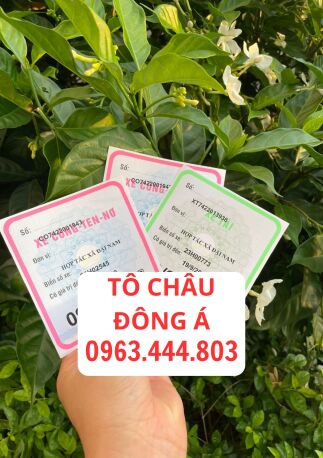 Bình Phước làm phù hiệu xe ô tô tải uy tín giá rẻ