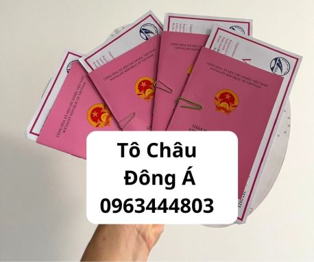 Cao BẰng cấp giấy phép liên vận Việt NAm uy tín - giá rẻ