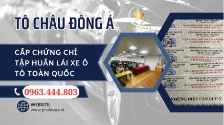 Cấp Chứng chỉ tập huấn lái xe ô tô tại Phú Yên