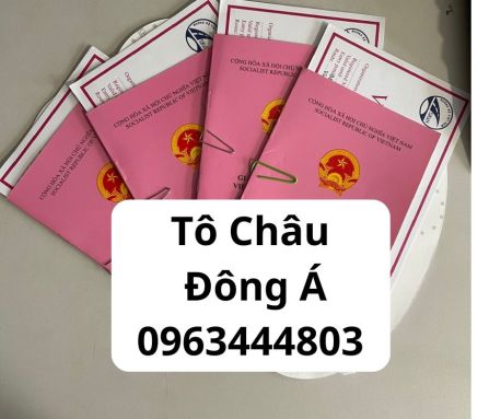 Cấp giấy phép liên vận Việt Lào tại Tuyên Quang nhanh chóng nhất. 