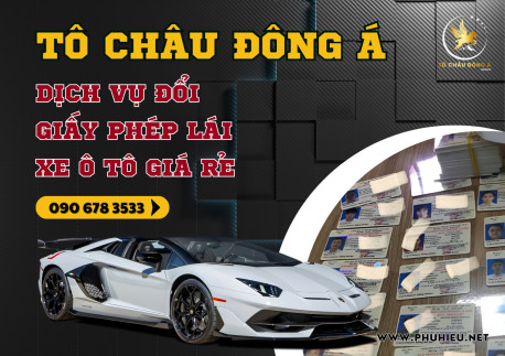 Cấp mới bằng lái xe ô tô tại Bình Định giá siêu hời