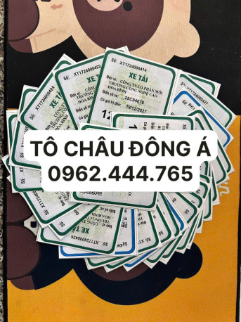 Cấp phù hiệu xe tải chỉ 3 ngày làm việc tại Lâm Đồng