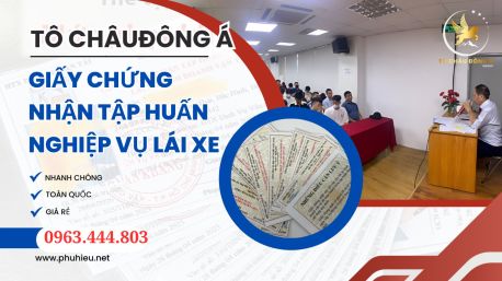 Chứng chỉ tài xế tại Điện Biên uy tín giá rẻ chỉ 299k