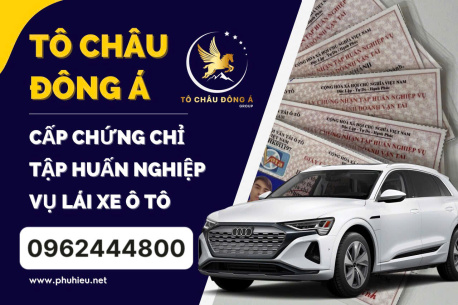 Địa chỉ Cấp Thẻ Tập Huấn Nghiệp Vụ Lái Xe UY TÍN SỐ 1 Đà Nẵng