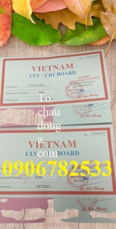 Địa chỉ uy tín cấp giấy phép liên vận Việt - Lào - Cam