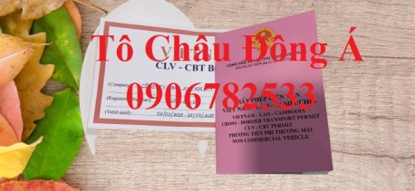 Địa điểm uy tín nhất cấp phép liên vận Việt - Lào - Cam