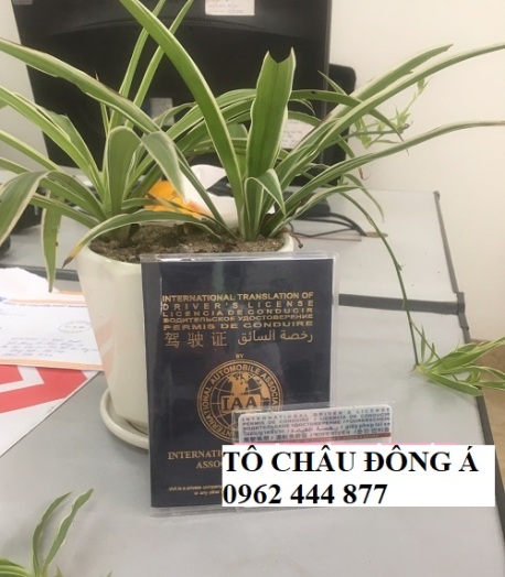 Đổi bằng lái quốc tế IAA ở Hưng Yên