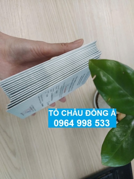 Đổi bằng lái xe IDP siêu nhanh tại Quảng Ninh