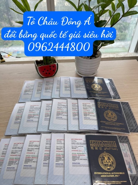Đổi bằng lái xe ô tô quốc tế IAA giá rẻ, chuyên nghiệp tại Quảng Trị