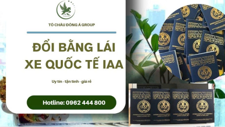 Đổi Bằng Lái Xe Quốc Tế IAA Uy Tín Số 1 tại TP. Hồ Chí Minh