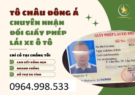 Đổi giấy phép lái xe ô tô phí cực rẻ tại Ninh Bình
