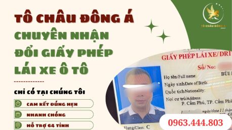 Đổi giấy phép lái xe online tại Cần Thơ chỉ 4xx nhanh chóng