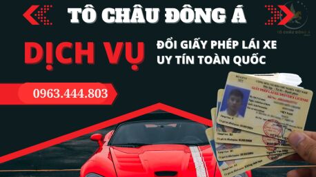 Đồng Tháp cấp đổi lại bằng lái xe ô tô uy tín