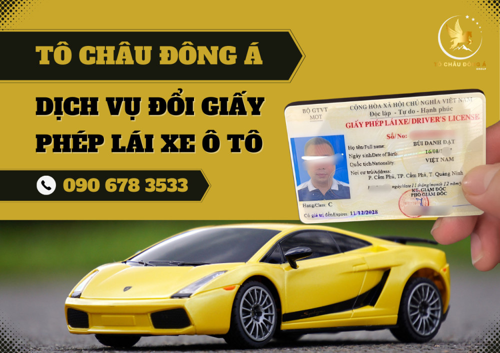 Cấp mới bằng lái xe ô tô tại Bình Định giá siêu hời