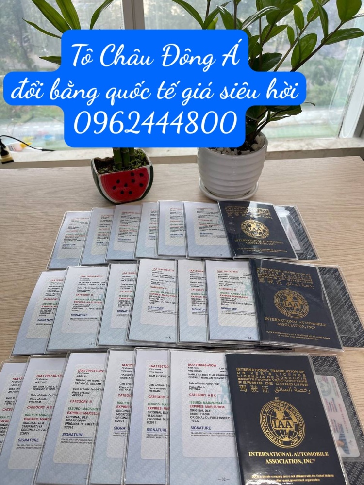 Địa chỉ cấp bằng quốc tế IAA nhanh nhất tại Hải Phòng