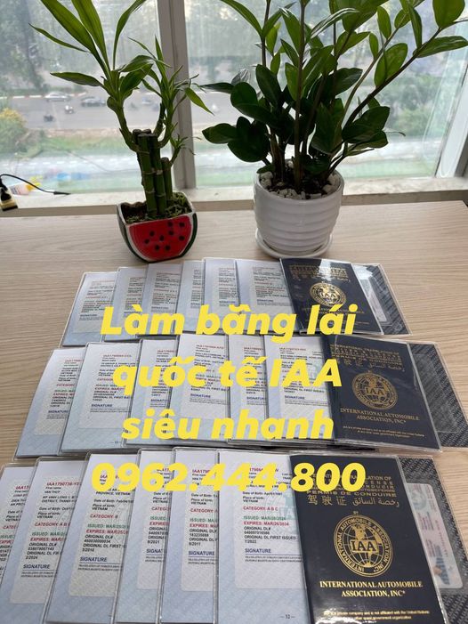 Điểm đổi bằng lái quốc tế IAA giá sốc tại Thủ Đức, Hồ Chí Minh
