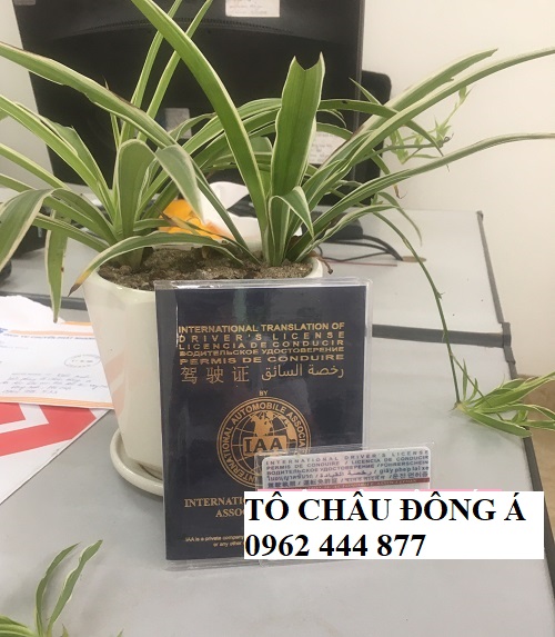 Đổi bằng lái quốc tế IAA tại thủ đô Hà Nội
