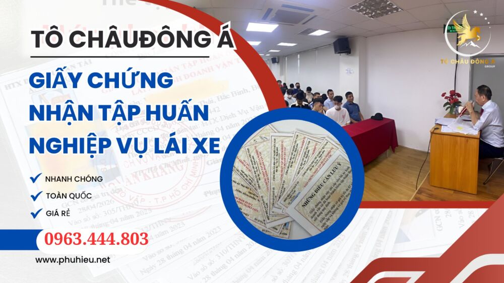 Cấp chứng chỉ tập huấn nghiệp vụ vận tải ở Long An