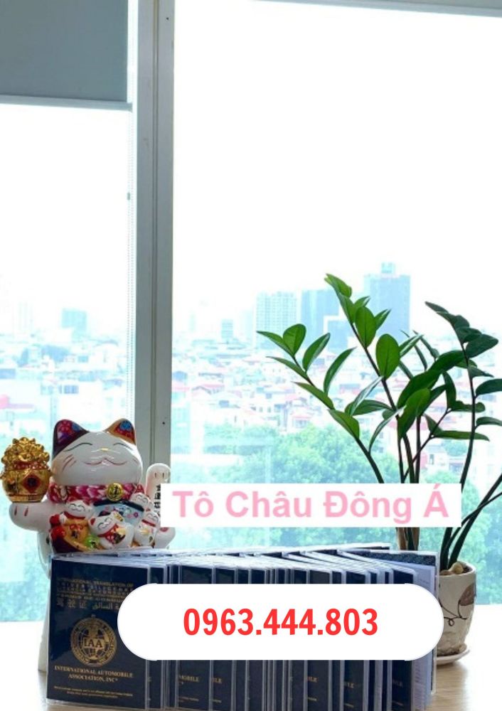 Đổi bằng lái xe ô tô quốc tế nhanh chóng tại Thái Bình