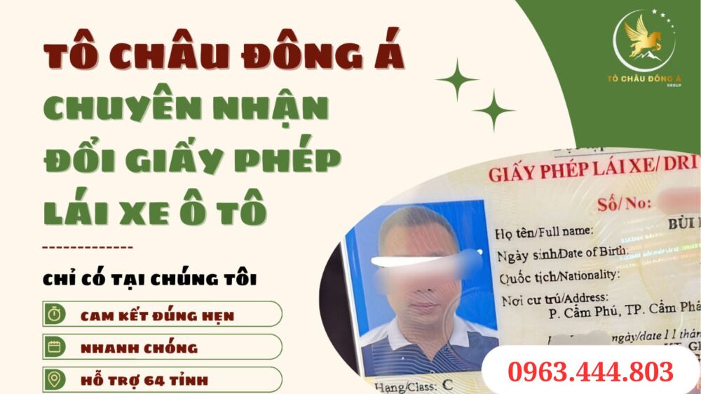 Gia hạn bằng lái xe ô tô online uy tín ở tỉnh Long An