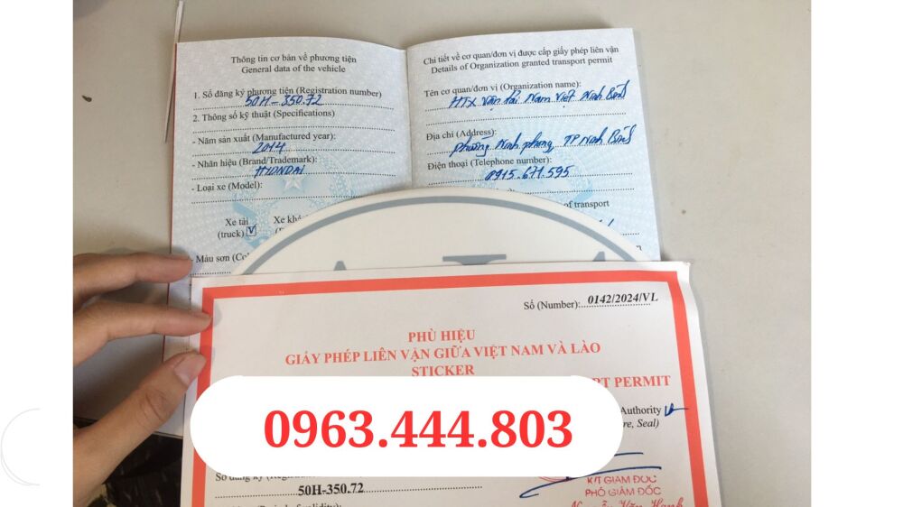 Liên vận xe con 6 tháng biển trắng Đà Nẵng