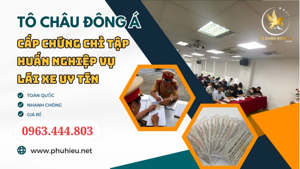 Tại Thái Bình có cấp thẻ tập huấn nghiệp vụ lái xe uy tín