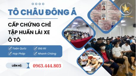 Làm chứng chỉ tập huấn giá rẻ uy tín cho tài xế tại Vĩnh Long