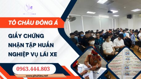 Làm chứng chỉ tập huấn nghiệp vụ tài xế giá rẻ ở Gia Lai