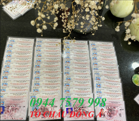 Mở lớp đào tạo tập huấn nghiệp vụ lái xe kinh doanh vận tải tại Quận Ninh Kiều, TP Cần Thơ