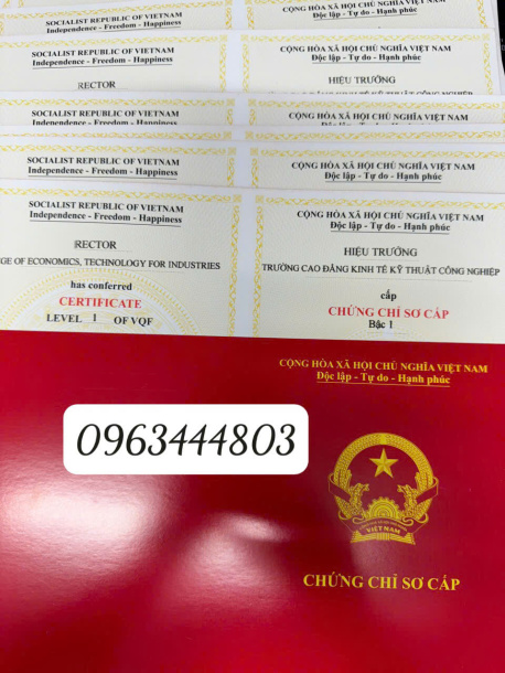 Mở lớp học sơ cấp vận tải tại Ninh Bình nhanh chóng