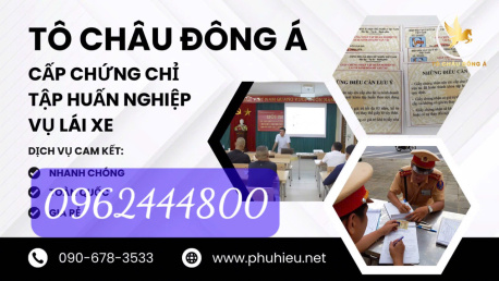 Mua chứng chỉ tập huấn nghiệp vụ lái xe giá rẻ tại Lạng Sơn