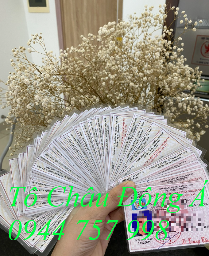Mở lớp đào tạo tập huấn nghiệp vụ lái xe kinh doanh vận tải tại Quận Ninh Kiều, TP Cần Thơ