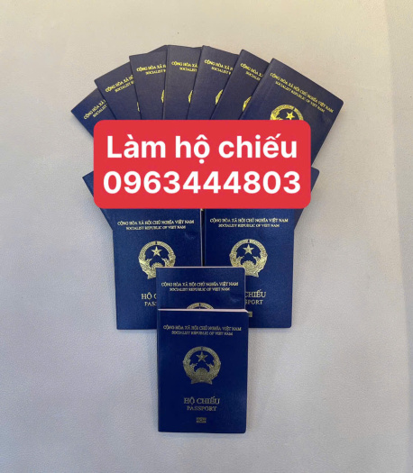 Tại Lai Châu có làm hộ chiếu online uy tín