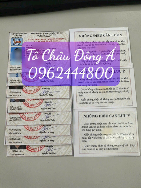 Thẻ tập huấn nghiệp vụ lái xe chỉ 299k tại Huế