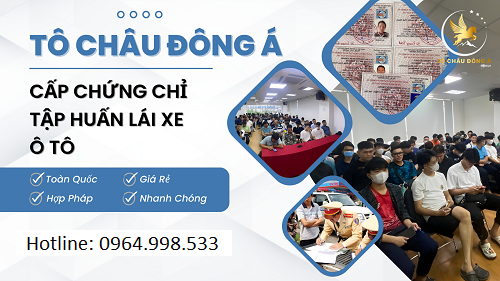 Cấp chứng chỉ tập huấn nghiệp vụ lái xe tại Quảng Bình cực nhanh