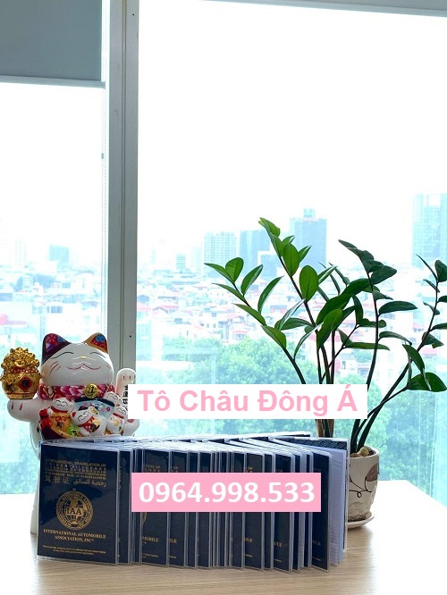 Dịch vụ đổi giấy phép lái xe quốc tế IAA siêu nhanh tại Phú Thọ