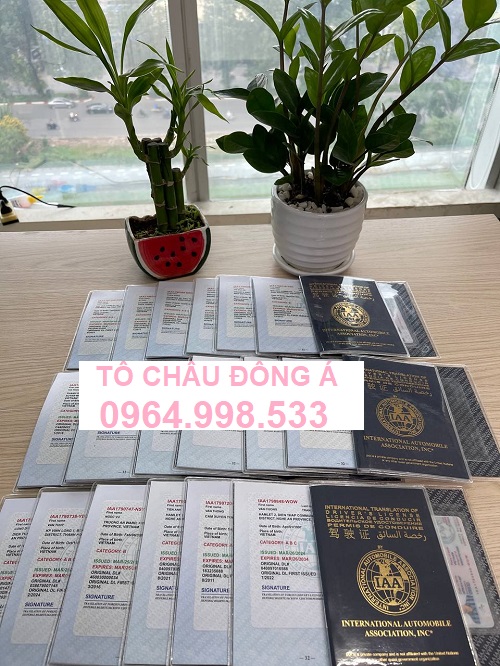 Dịch vụ làm đổi bằng lái xe quốc tế IAA cực nhanh tại Sơn La