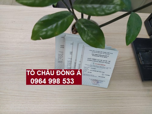 Làm đổi bằng lái xe quốc tế cực nhanh tại Hải Phòng giá tốt